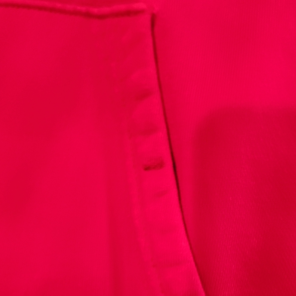 Champion/Supreme Vibrant Red Hoodie with Multicolor Logo - Picture 4 of 5